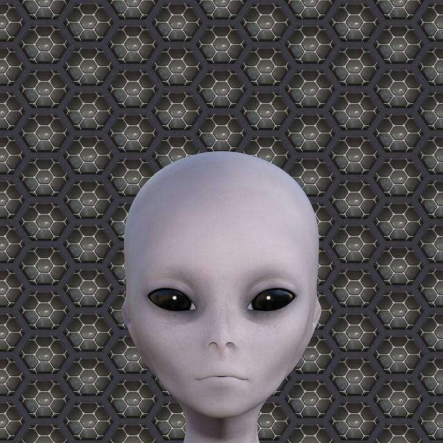 r星今日大赛免费版-r星今日大赛官方正版wwwv77iphone版_ikunjing安卓网相关推荐1