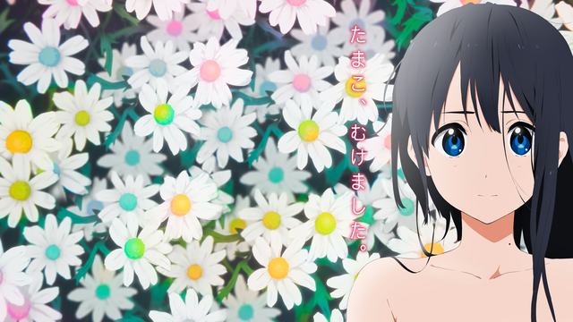 澳门百乐门手机版