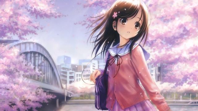 手机扫码安装www.51cg