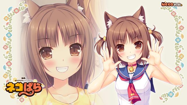 app手机版登陆